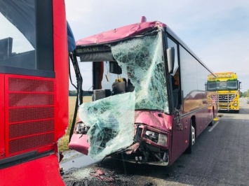 В Польше столкнулись два пассажирских автобуса, пострадали десятки человек (фото)