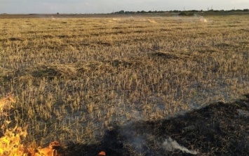 На Херсонщине за прошлые сутки семь случаев пожара травы