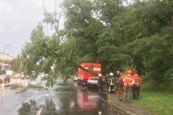 Буря в Киеве и области повалила деревья и поломала авто