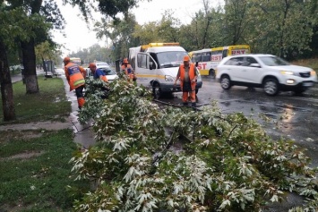 Над Киевом пронесся ураган - срывал крыши и валил деревья