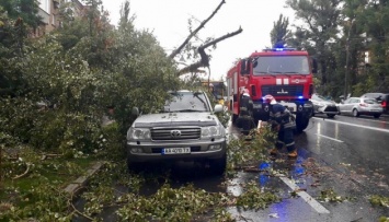 Непогода в столице: деревья падали на авто и трамвайные пути, пострадавших нет
