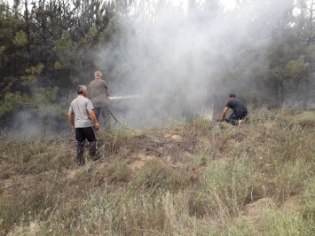 В Вознесенском районе подожгли лес. Тушили все (ФОТО)
