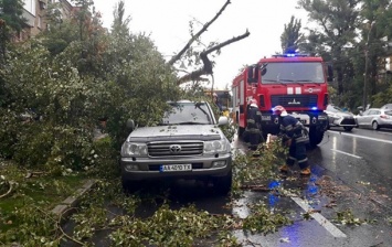 В Киеве буря сносила знаки и баннеры