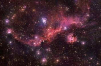 Астрономы получили снимок космической "чайки"