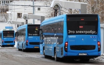 В Запорожье на Хортицу будут ездить электробусы