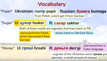 Популярный англоязычный видеоблогер объяснил разницу между украинским и русским языками
