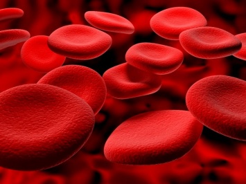 7 шокирующих фактов о группах крови, о которых Вы не знали