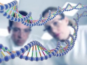 Открыта мутация гена, которая значительно повышает для человека риск заболеть раком