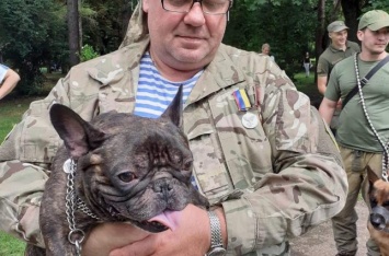 На кинологическом фестивале во Львове наградили собак, которые воевали вместе с хозяевами на фронте