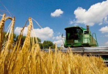 Украина увеличила торговлю агропродукцией с ЕС