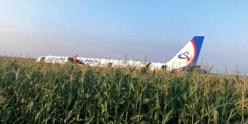 Появилось видео посадки самолета Airbus A-321 в подмосковном поле