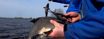 В Червоногригоровке браконьер поймал сетями рыбы почти на 7 000 гривен
