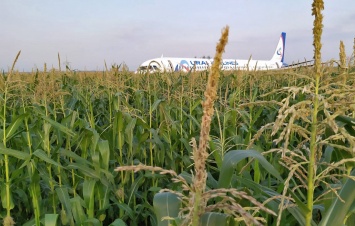 Жесткая посадка в Подмосковье. Что произошло с пассажирским самолетом, который сел на кукурузное поле сразу после вылета