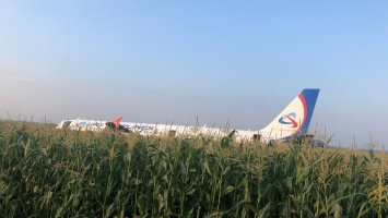 Airbus A321 "Уральских авиалиний" сел на кукурузное поле под Москвой из-за отказа двигателей