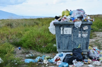 В российских городах появятся «умные» мусорные контейнеры