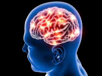 Тренировки головного мозга помогают продлить молодость и сохранить ясность разума до старости