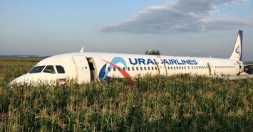 Пассажиры аварийно севшего в Подмосковье самолета отказались лететь в Крым