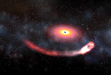 Физики сообщили о регистрации гравитационных волн, созданных падением в черную дыру нейтронной звезды