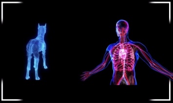 Verisim Life создаст биосимуляторы на базе ИИ, чтобы прекратить испытания лекарств на животных