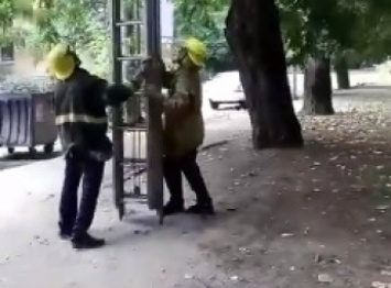 В Мелитополе спасали кошку, забравшуюся на дерево (видео)
