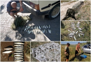 Николаевский рыбоохранный патруль поймал браконьеров, нанесших ущерб рыбному хозяйству Украины на почти 50 тыс. грн. (ФОТО)