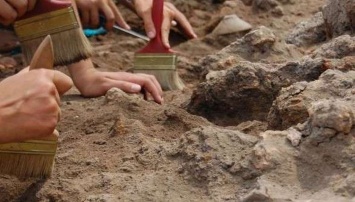 Дело пахнет сенсацией: студенты раскопали усадьбу древних греков