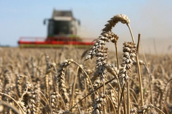 В Украине зафиксировано 65 тыс. аграриев, не задекларировавших доходы