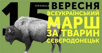 В Донецкой и Луганской областях пройдут марши за права животных