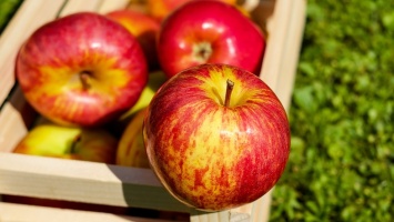 Яблочный Спас 2019 - традиции, приметы и поздравления