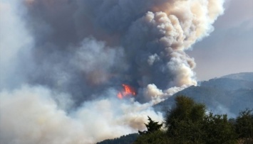 Запад и юг Турции охватили лесные пожары