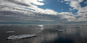 Российские гидрографы собрались подтвердить открытие новых островов в Арктике