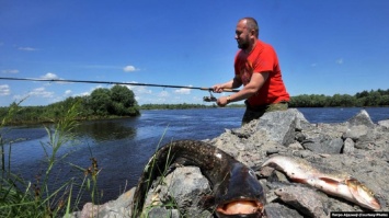 В Черном море запретили ловить рыбу: и это только начало