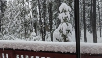 В Канаде прошел обильный снегопад: выпало полметра снега