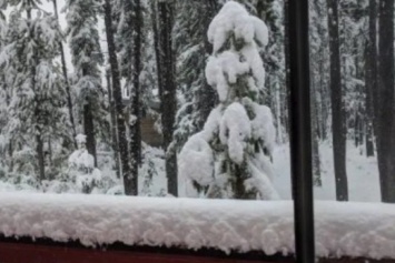 Канаду завалило снегом посреди августа (видео)