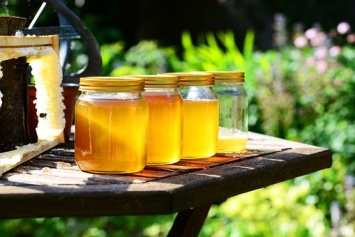 Чем полезен мед: 9 лечебных свойств, в которые верят люди