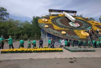 Ко Дню независимости цветочные часы Кривого Рога украсят орнаментом в виде украинской вышиванки