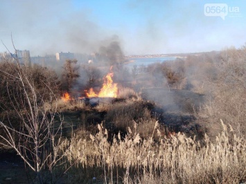 За сутки в Кривом Роге произошло 8 пожаров в природных экосистемах