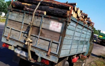 На Херсонщине полиция проверяет законность перевозки лесоматериалов