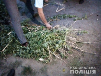 Усугубил. На Николаевщине владелец наркоплантации набросился на полицейского во время обыска (ФОТО)