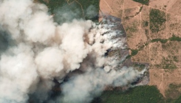 ЕС готов предоставить финансовую помощь для тушения пожаров в Амазонии