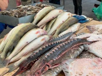 Итоги рейда: на одесском Привозе искали торговцев рыбой из Красной книги Украины