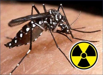 Эпидемия в Крыму! Заразители с Нибиру распространяют чуму через комаров - эксперт