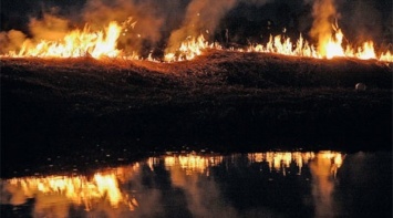 Под Одессой из-за халатности туриста сгорело около гектара заповедника