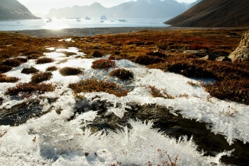 Таяние вечной мерзлоты в Арктике усилит парниковый эффект