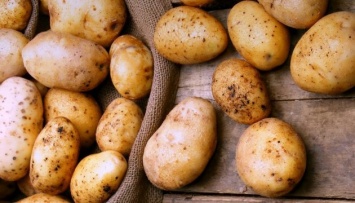 В этом году в Украине дефицита картофеля не будет - эксперты