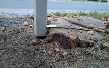 В Олешках пешеходный забор закрепили на пенек