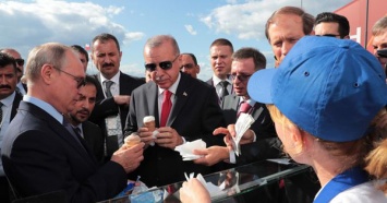 WSJ: Эрдоган давит на Путина в связи с сирийским наступлением