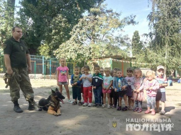 В Днепре полиция с собаками побывали в детском саду