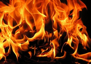 На Николаевщине снова горела хвойная подстилка в двух лесных урочищах