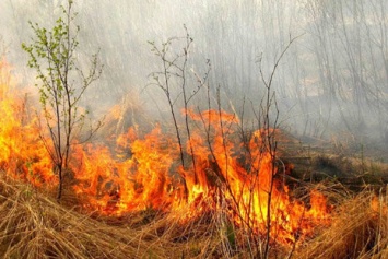 Вчера пожары в экосистемах Запорожской области тушили полторы сотни спасателей